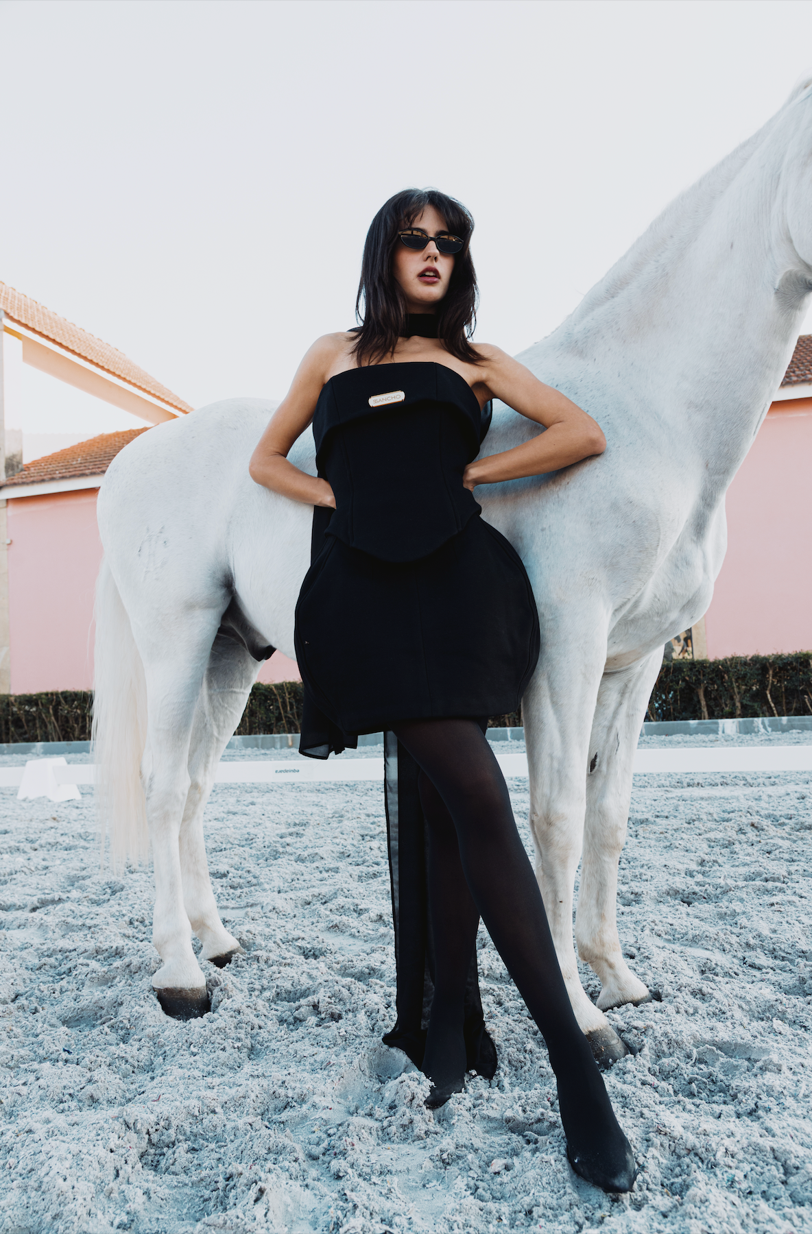 MINI-SAIA ESTRUTURADA